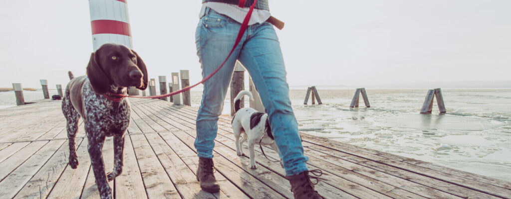 Physical therapy treatment in Alabama